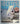 Andy Bear: A Polar Cub Grows Up at the Zoo by Ginny Johnston, Judy Cutchins