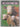Cows: A Portrait of the Animal World by Danyal Payne,John Burdick