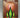 The Fall of the Towers by Samuel R. Delany