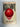 Print Books - Killshot by Tom Alibrandi - Book Express