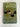 Fundamentals of Lawn Bowls by Albert Newton