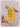 Guinness Book of Records 1989 by Donald McFarlan (editor)