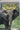 Elephants, A Battle For Survival by Lisa. Lawley