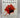 The Plant Paradox: The Hidden Dangers in Healthy Foods That Cause Disease and Weight Gain (The Plant Paradox, 1) by Dr. Steven R Gundry  MD