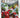 Delia Smith's Winter Collection by Delia Smith