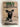 Solo: The Story of an African Wild Dog by Hugo Van Lawick, David Bygott (Drawings)