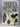 Illustrated Book of Trees and Shrubs by Vaclav Vetvicka