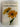 Garden Flowers: A Concise Guide in Colour by Vlastimil Vanek
