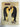 Emperors of the Ice: The Emperor Penguins of Antarctica by Kim Westerskov