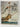 The Mary Rose by Margaret Rule
