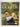 The Ultimate Golfer by Richard Bradbeer, Ian Morrison