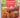German Cooking Today: The Original by Dr Oetker