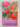 Belize, Guatemala & Southern Mexico Handbook (Footprint - Handbooks) by Richard Arghiris