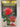 Strong Poison by Dorothy Sayers