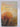 Journey to the Stone Country by Alex Miller