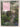Arches and Pergolas (Letts Guides to Garden Design) by Robert Ditchfield