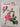 House Plants by J. Kaplicka J. Oplt