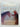 Shy Boy: The Horse Who Came in from the Wild by Monty Roberts