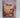 A Little Princess by Frances Hodgson Burnett
