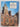 Historic Houses of the National Trust by Adrian Tinniswood