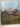 The Mansions of Long Island's Gold Coast: Revised and Expanded by Monica Randall