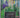 Cotswold Gardens by David Hicks, Suzannah Brooks-Smith, Andrew Lawson