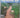 The Complete Book of Outdoor DIY by Penny Swift, Janek Szmanowski