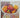 You Say Tomato: Peel, Chop, Roast, Dry, Freeze, Preserve, and Enjoy by Joanne Weir