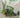 House Plants: How to Choose and Care for Your Plan by Anne De Verteuil