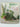 House Plants: How to Choose and Care for Your Plan by Anne De Verteuil
