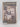 The Anatomy Lesson/a Novel by John David Morley