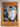 DSIR jubilee history of the biotechnology division DSIR Palmertson North 1938-1988 by Allan S. Craig