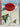 Tintin in Tibet: the adventures of Tintin by Hergé