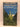 Field guide to the alpine plants of New Zealand by John T. Salmon