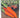 Organic gardening for New Zealand gardeners by Random House