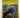 Art New Zealand 27 by William Dart (editor)
