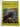 Art New Zealand 27 by William Dart (editor)