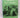 Travels in New Zealand with a map of the country by A. Marjoribanks