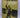 The happy wanderer: a Kiwi on foot 1915 -1965 by A H. Reed