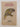 The Fiat book of common birds in New Zealand Volume 2 Mountain bush & shore birds by F. C. Kinsky