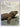 The Tuatara lizards and frogs of New Zealand by Richard Sharell