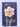 Daffodene Gardens have pleasure in presenting their catalogue of incomparable daffodils by Daffodene Gardens