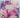 The charm of Nancy Steen a passionate New Zealand gardener by Susan Mcaffer