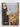 New Zealand Catholic Directory 2006 by Catholic Communications