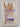 The harvest history of the Catholic Church in Timaru 1869 -1969 by Barbara Harper
