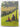 New Zealand kiwifruit centennial journal 2004 by Jacquie Webby (editor)