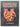 Growing walnuts by B J. Vavasour