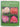 Rhododendron hybrids (includes selected named forms of Rhododendron species) by Homer E Salley, Harold E. Greer
