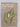 Birds forests and natural features of New Zealand. Including the growth of the Royal Forest & Bird Protection Society of New Zealand Inc. by N E. Dalmer