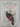 The Southern ark zoological discovery in New Zealand 1769 -1900 by J R H. Andrews